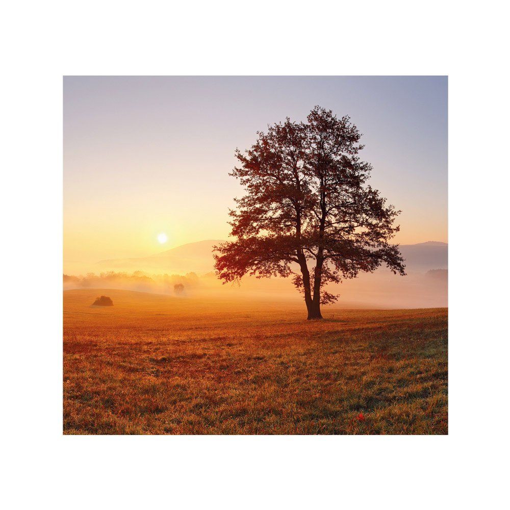 Fototapete Natur Sonnenaufgang Baum liwwing Sonnenaufgang 238, liwwing Fototapete Feld no.