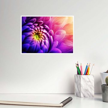 wandmotiv24 Poster Pflanze, Blüte, violett, Natur (1 St), Wandbild, Wanddeko, Poster in versch. Größen