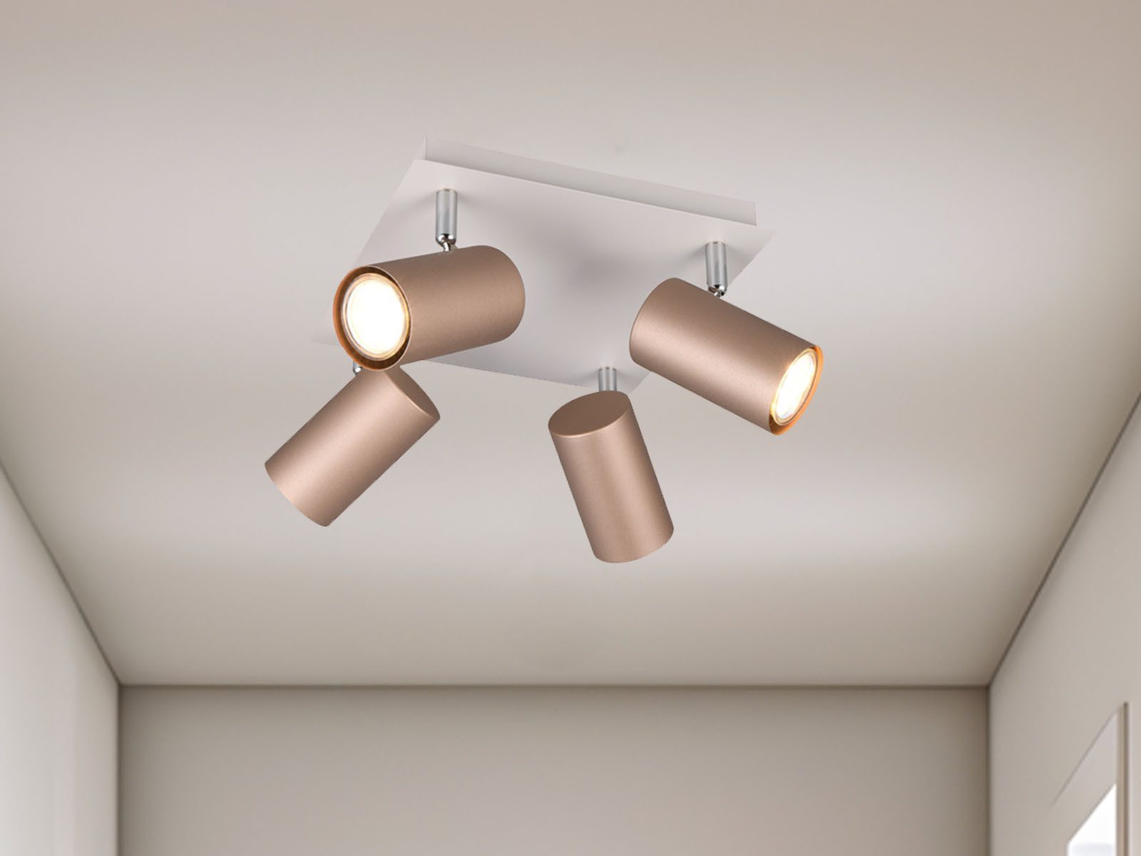 TRIO Leuchten LED Deckenstrahler, Dimmfunktion, LED wechselbar, Warmweiß, D günstig online kaufen