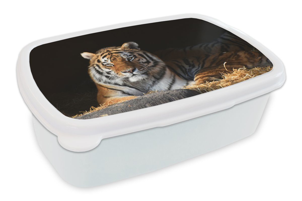 MuchoWow Lunchbox Tiger - Stroh - Schatten, Kunststoff, (2-tlg), Brotbox für Kinder und Erwachsene, Brotdose, für Jungs und Mädchen weiß