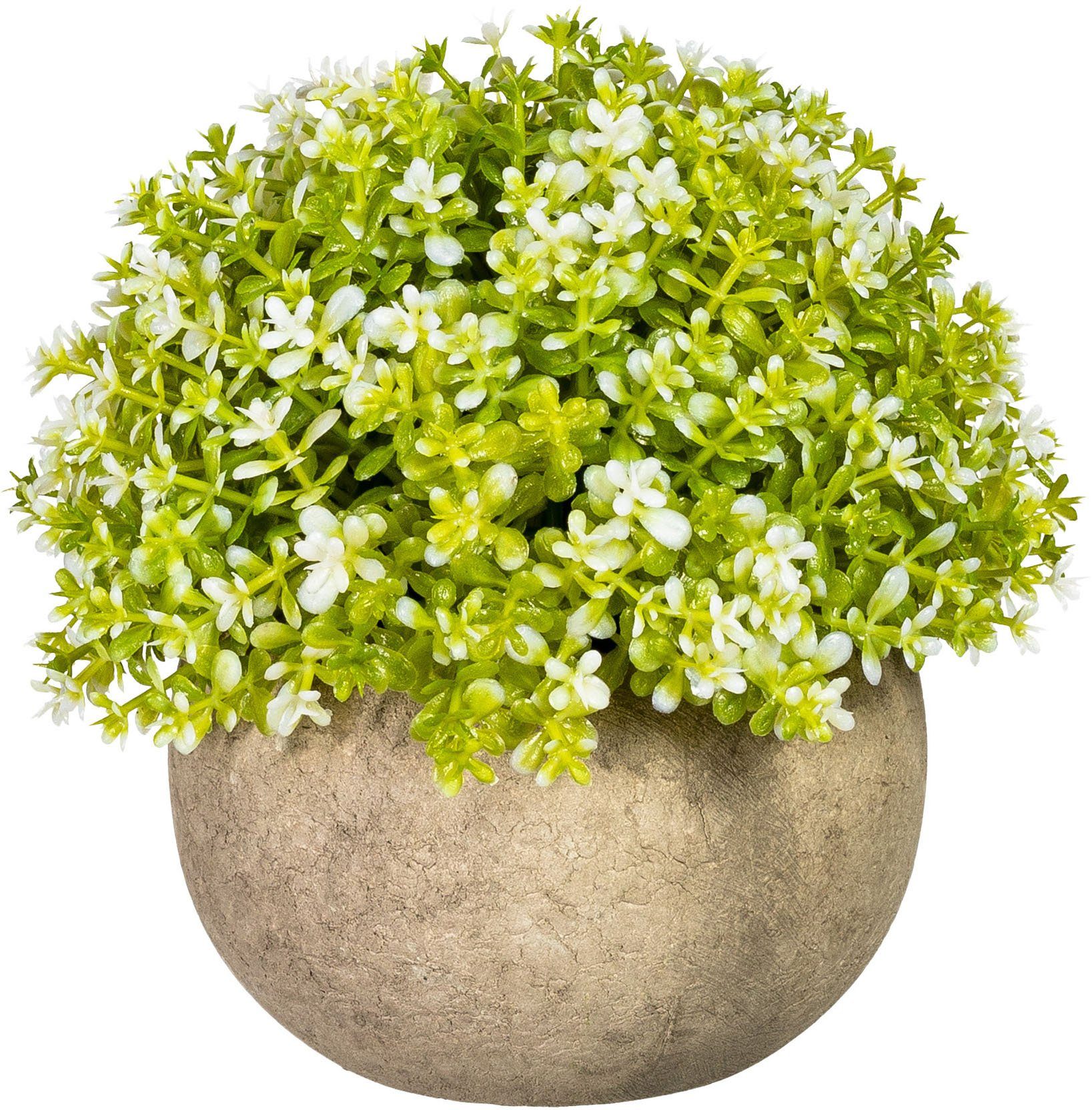 Künstliche Zimmerpflanze Miniblattkugel Grünpflanze, Creativ green, Höhe 12  cm, 2er Set, im Paperpot