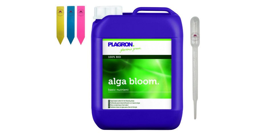Plagron Pflanzendünger Alga Bloom günstig online kaufen