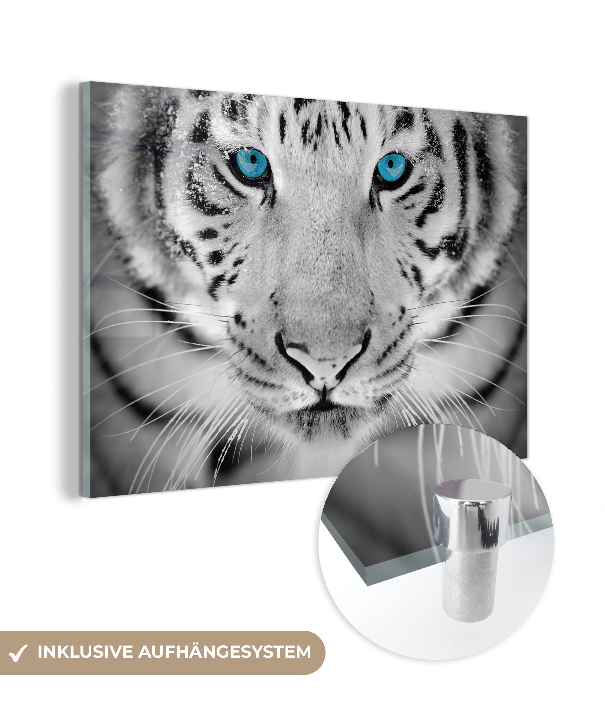 MuchoWow Acrylglasbild Tiger - Wohnzimmer Nase, Kopf (1 Acrylglasbilder & St), Schlafzimmer 