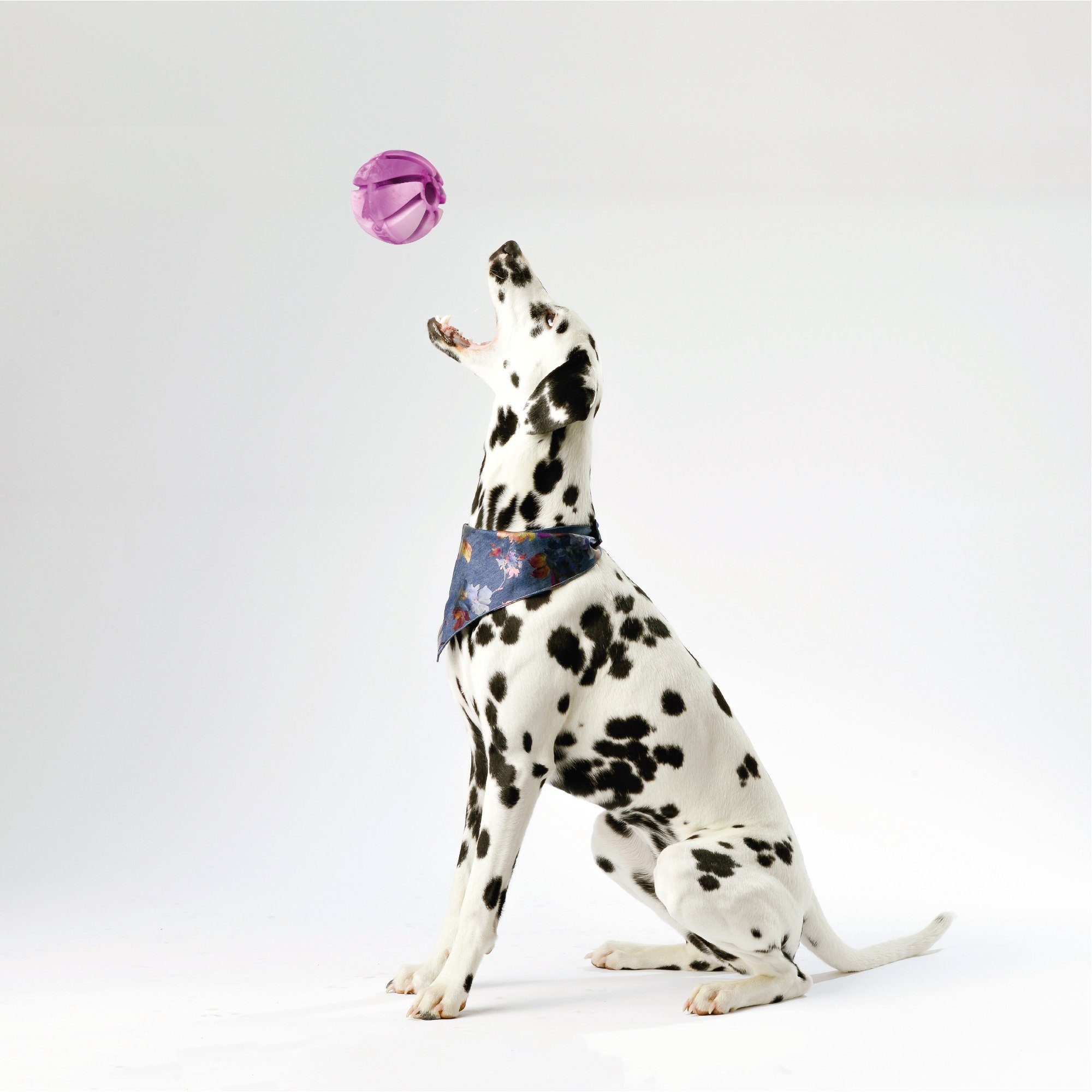 Bestlivings Tierball Spiralball, 100% Ø7cm (1-tlg) Wurfspielzeug Lila Hundespielzeug Hunde - Spielball TPR
