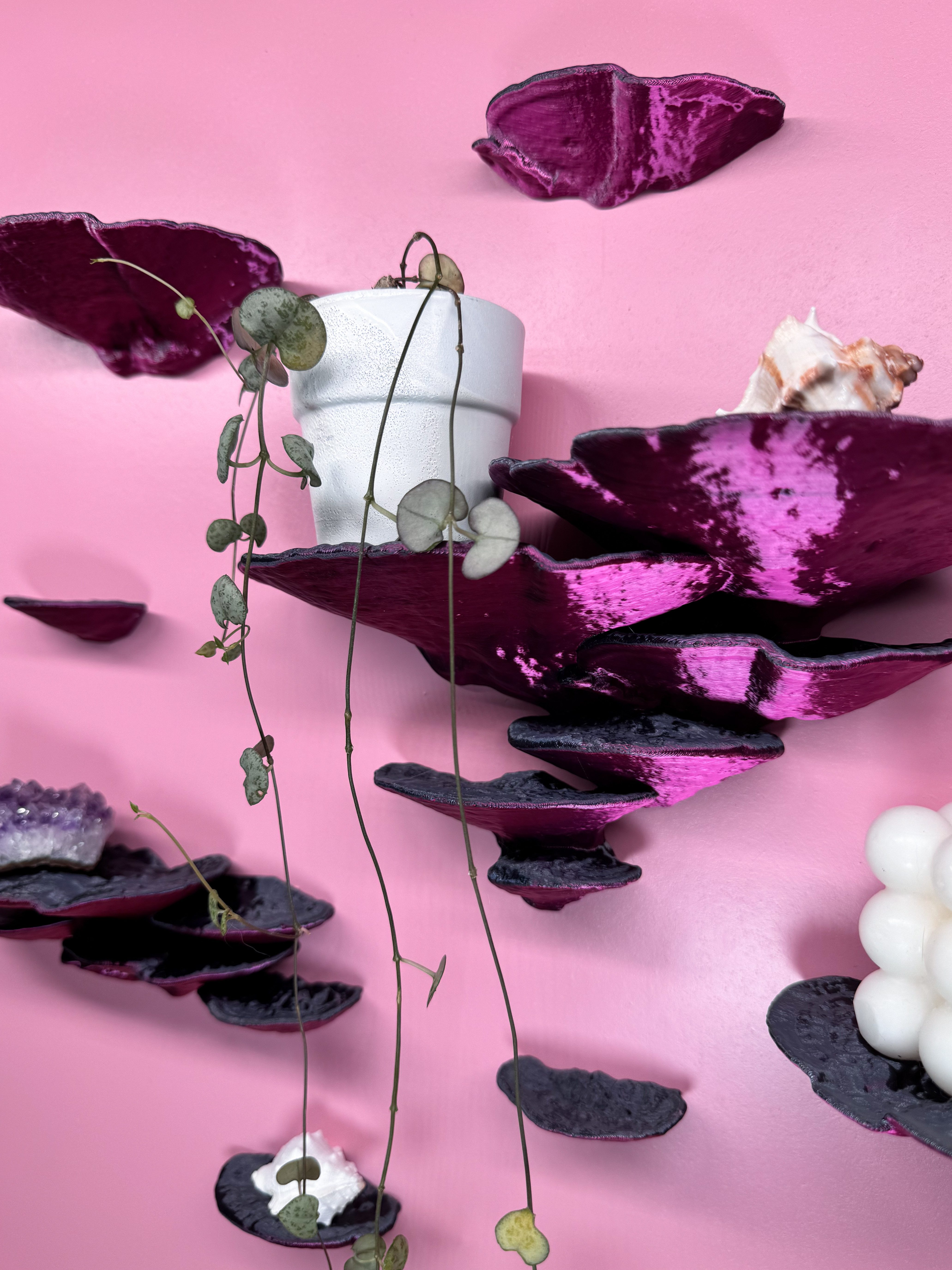 Roomberry Deko-Wandregal Pilzwandregal Set 9-tlg. Trameten – Schwebendes Wandregal Deko, Deko-Wandregal Set 9-tlg., Made in Germany