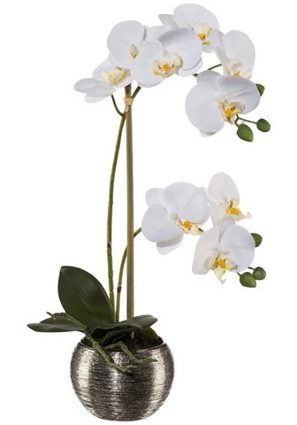 GASPER Искусственное растение »Orchidee...