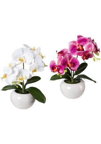 GASPER Искусственное растение »Orchidee...