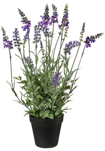 GASPER Искусственное растение »Lavendel...