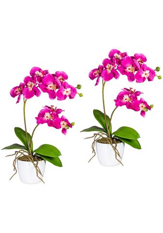 GASPER Искусственное растение »Orchidee...