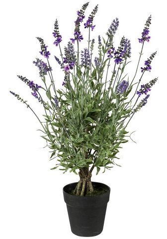 GASPER Искусственное растение »Lavendel...