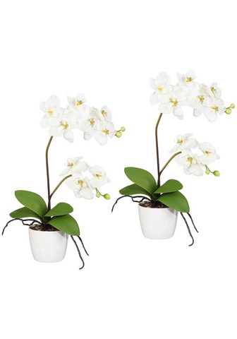 GASPER Искусственное растение »Orchidee...