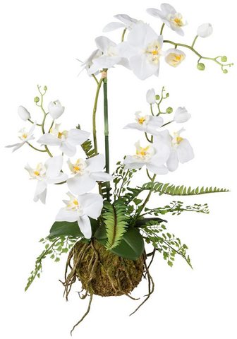 GASPER Искусственное растение »Orchidee...