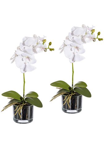 GASPER Искусственное растение »Orchidee...