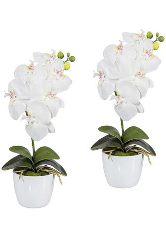 GASPER Искусственное растение »Orchidee...