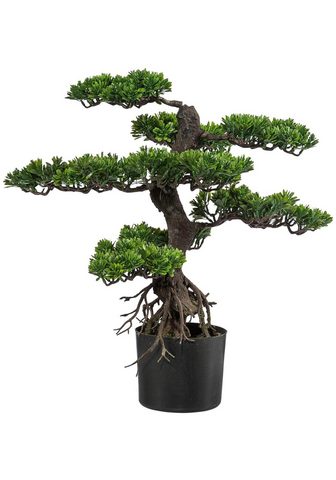 GASPER Искусственное растение »Bonsai&l...