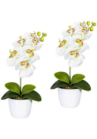 GASPER Искусственное растение »Orchidee...