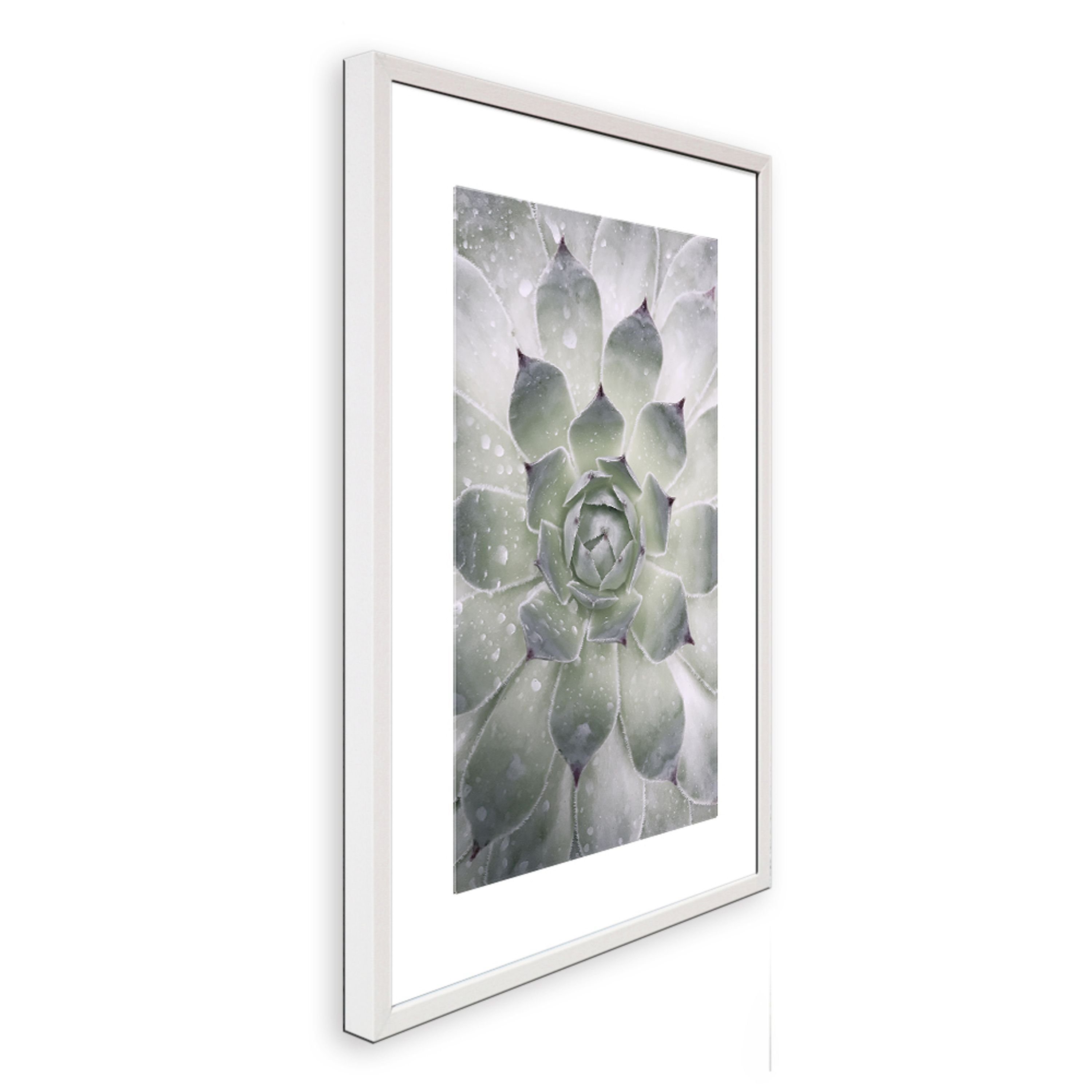 Rahmen artissimo Kaktus Bild mit / Tropisches / mit Blatt gerahmt Bild Wandbild, / Design-Poster Holz-Rahmen 51x71cm