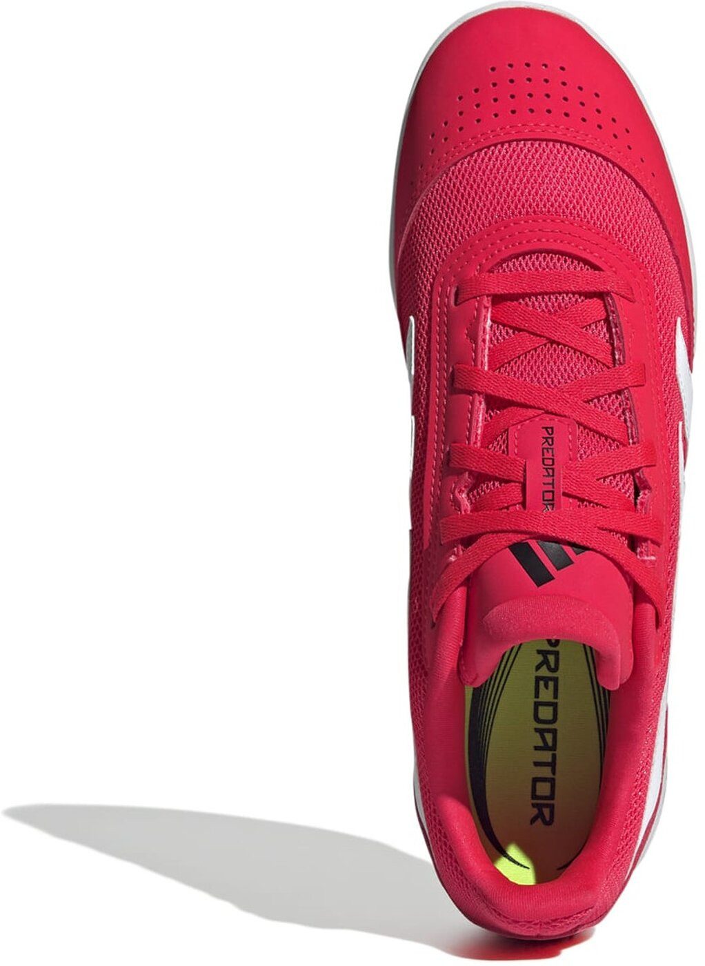 adidas Sportswear Hallenschuh PREDATOR CLUB Fußballschuh