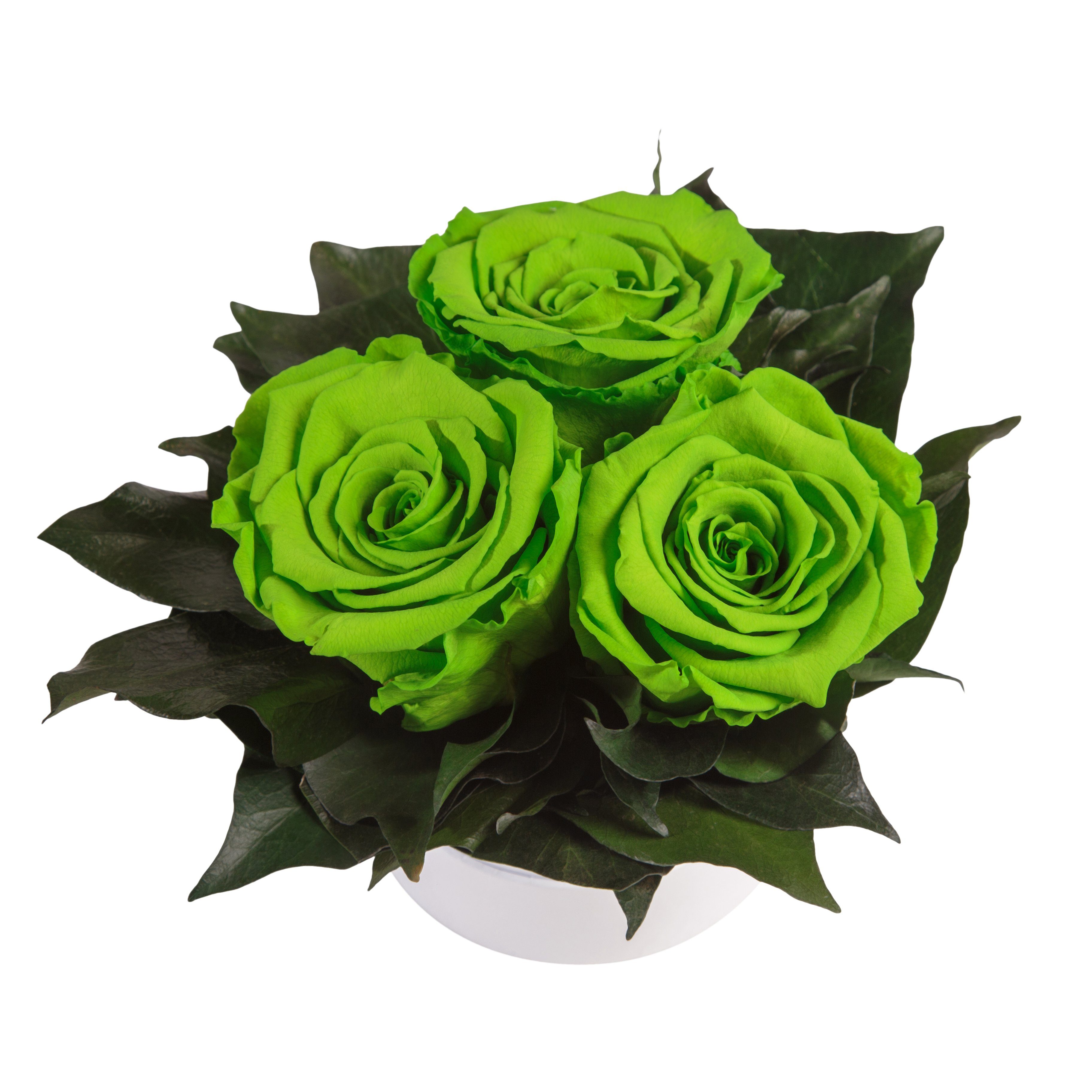 Kunstblume Rosenbox weiß rund 3 echte Infinity Rosen konserviert Rose, ROSEMARIE SCHULZ Heidelberg, Höhe 10 cm, Geschenk für Sie Rosen, Made in Germany