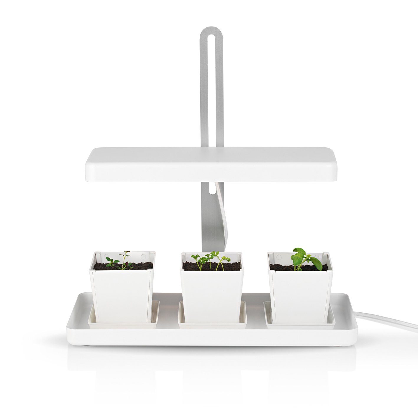 MAXXMEE Pflanzenlampe, 3 Töpfe weiß. Reduzierter Preis € 49,90. Unverbindliche Preisempfehlung € 69,99