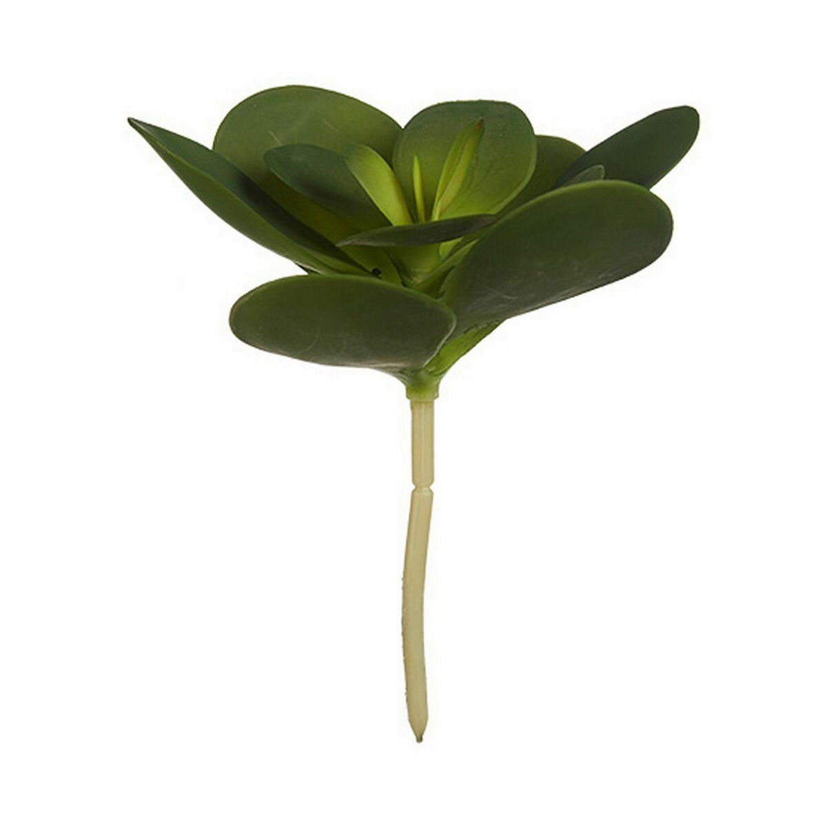 Künstliche Zimmerpflanze Dekorationspflanze Bettlaken kreisförmig 13 18 Ibergarden, Höhe 18 Kunststoff cm x x cm 23 6