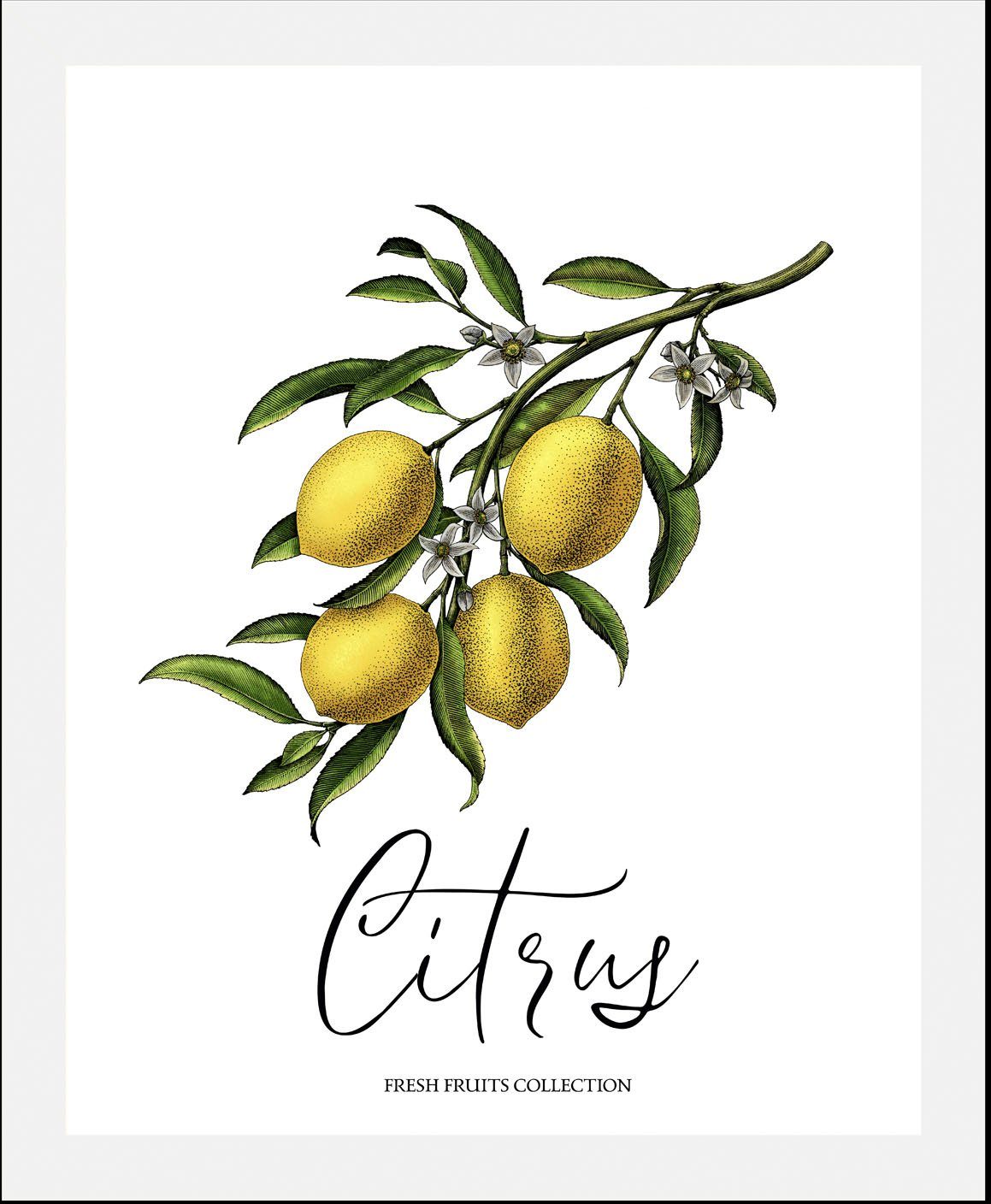 queence Bild Citrus, Essen, Italien, Kunst, Lebensmittel, Obst, Obst Bilder, Schriftzug, Spanien (1 St), gerahmt