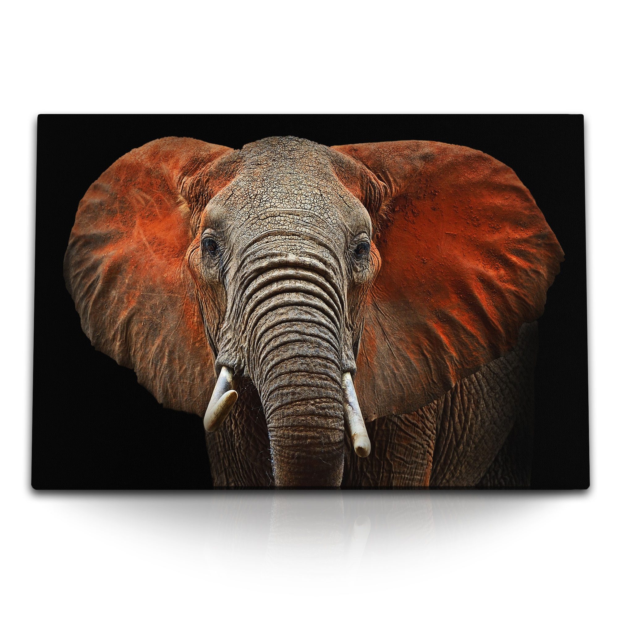 Leinwandbild 120x80cm Wandbild auf Leinwand Elefant Tierfotografie schwarzer Hinter