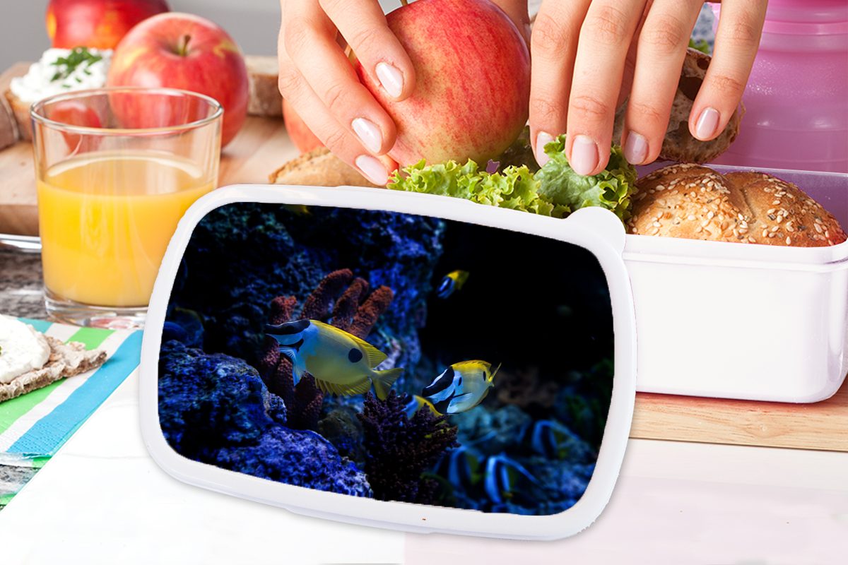 einem Kinder in (2-tlg), und für MuchoWow Aquarium Lunchbox Singapur., und Brotdose, für Jungs weiß Mädchen in Aquarienfische Kunststoff, Brotbox Erwachsene,