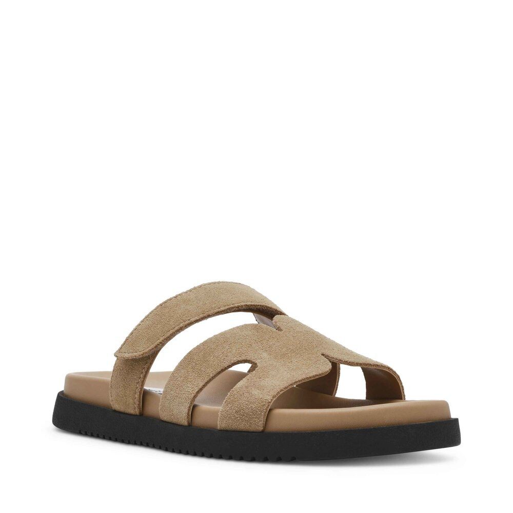 STEVE MADDEN Steve Madden - Missile-E Sandal - Beige Pantolette günstig online kaufen