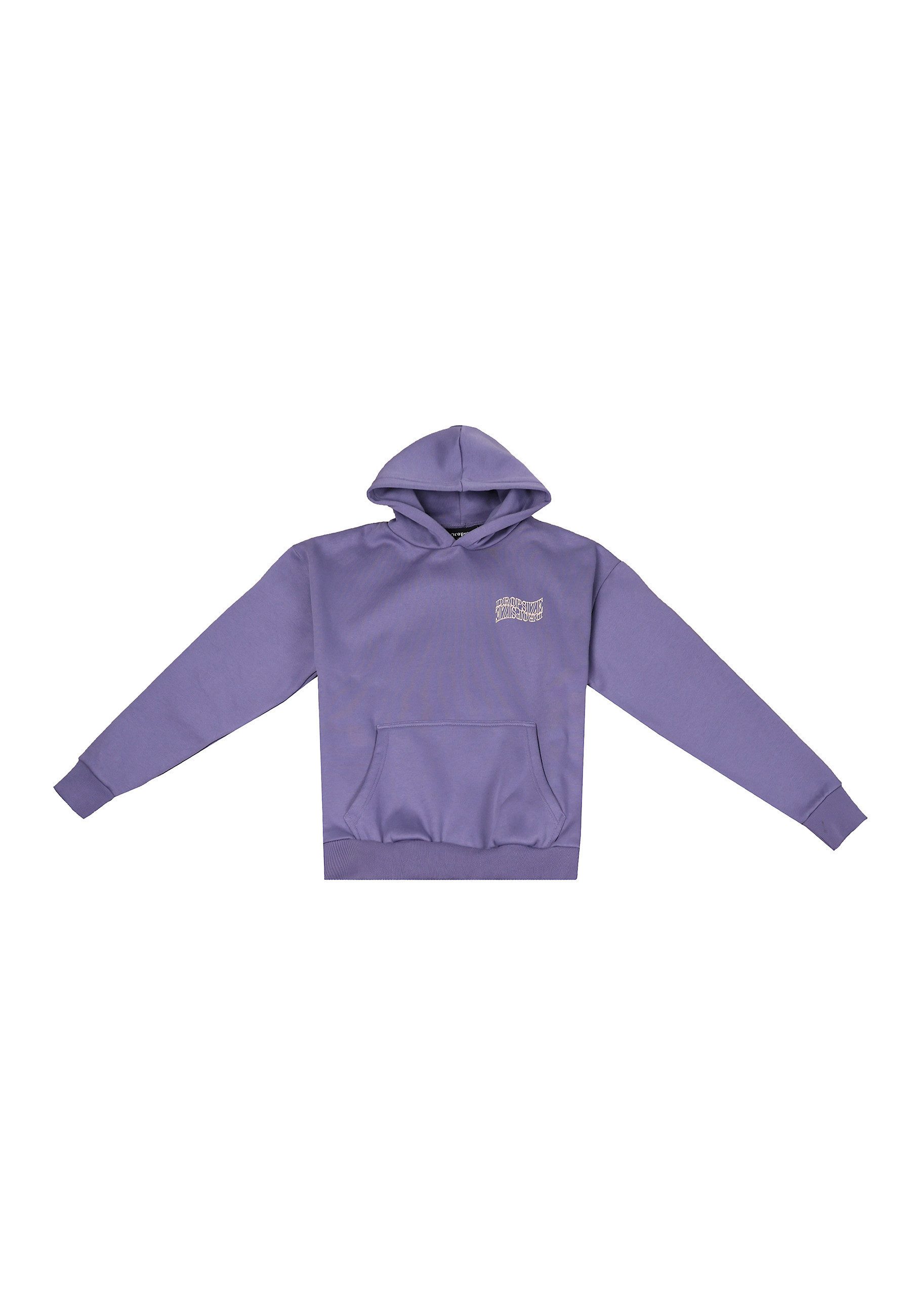 Dropsize Kapuzenpullover Dropsize HEAVY OVERSIZE MIRRORED LOGO HOODIE (1-tlg)