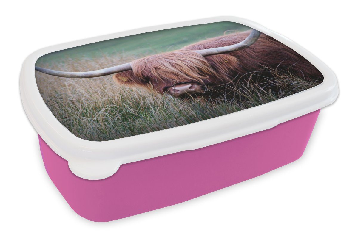 MuchoWow Lunchbox Schottischer Highlander - Hörner - Gras, Kunststoff, (2-tlg), Brotbox für Erwachsene, Brotdose Kinder, Snackbox, Mädchen, Kunststoff rosa