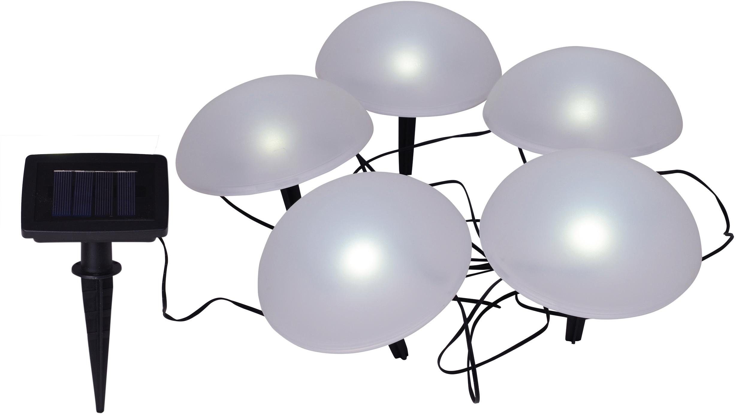 näve LED Gartenleuchte »HALBKUGEL«, SolarDekoleuchten, 5erSet online
