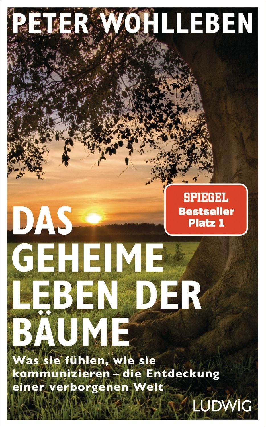 Das geheime Leben der Bäume / Peter Wohlleben, Was sie fühlen, wie sie kommunizieren - die Entdeckung einer verborgenen Welt