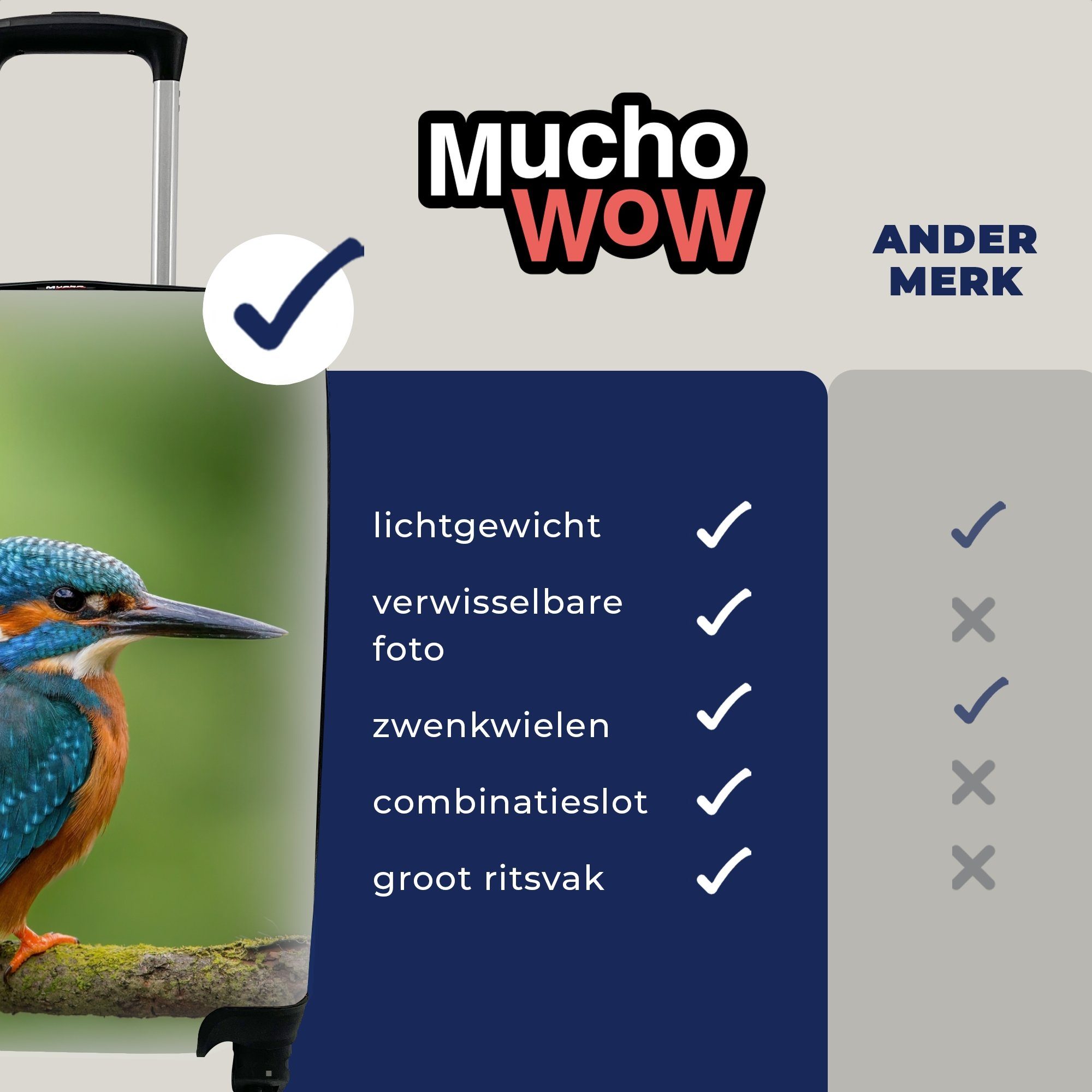 Grün, Handgepäck Rollen, Reisekoffer Reisetasche - - Eisvogel Ferien, rollen, 4 Trolley, Handgepäckkoffer Vogel für mit Moos MuchoWow Zweig - -