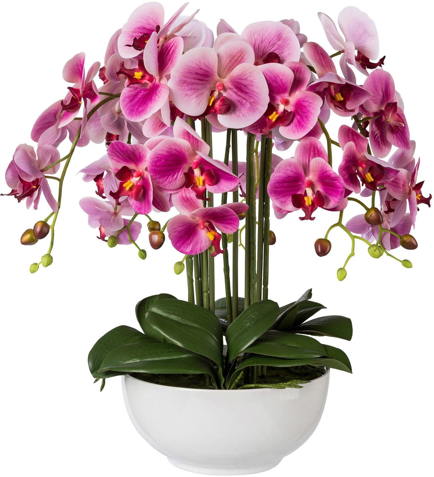 48-50 cm Orchidee-Puppen Perücke Rita 