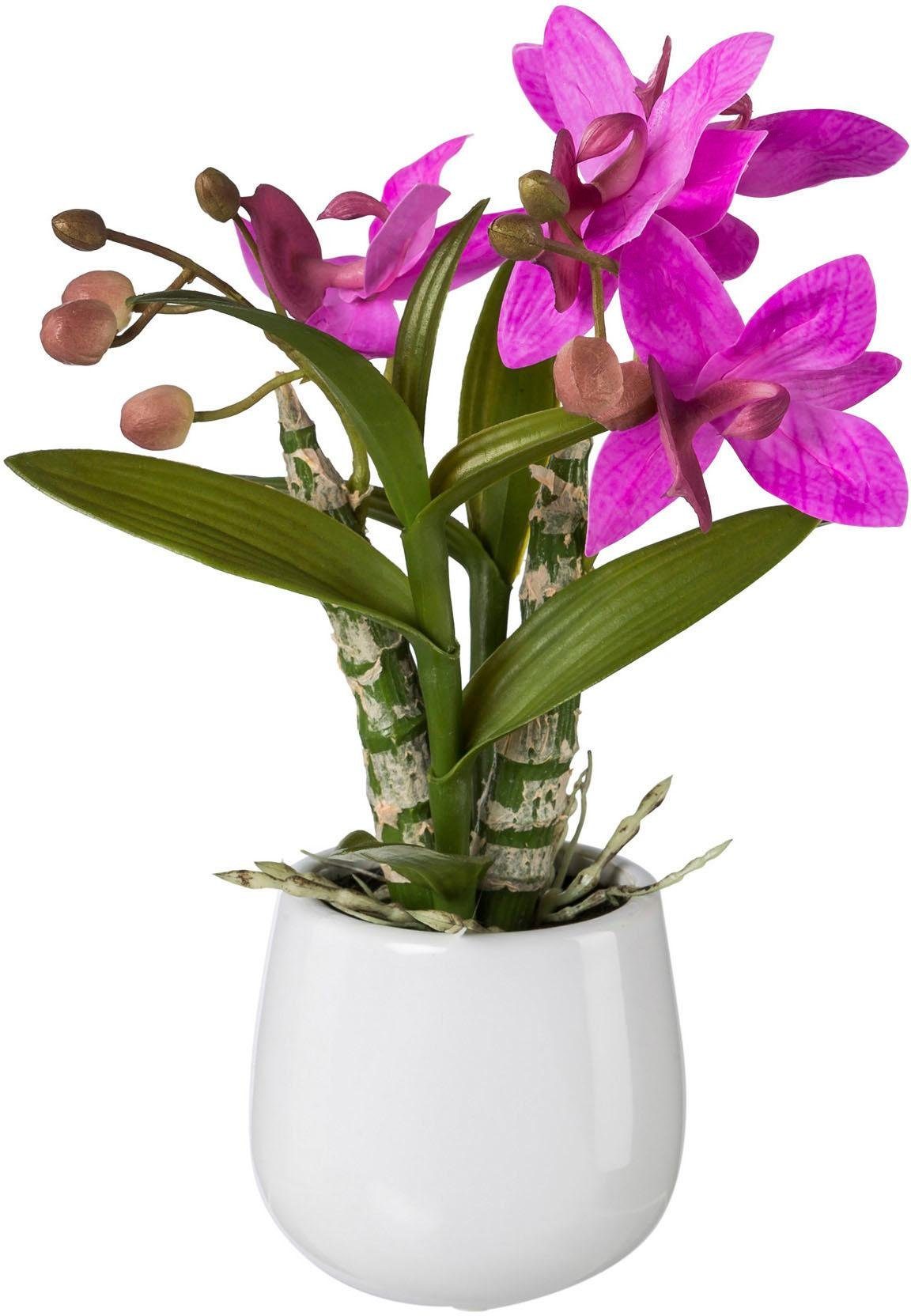 Kunstpflanze Orchidee, Creativ green, Höhe 32 cm, Japanorchidee im  Keramiktopf, Real Touch online kaufen | OTTO