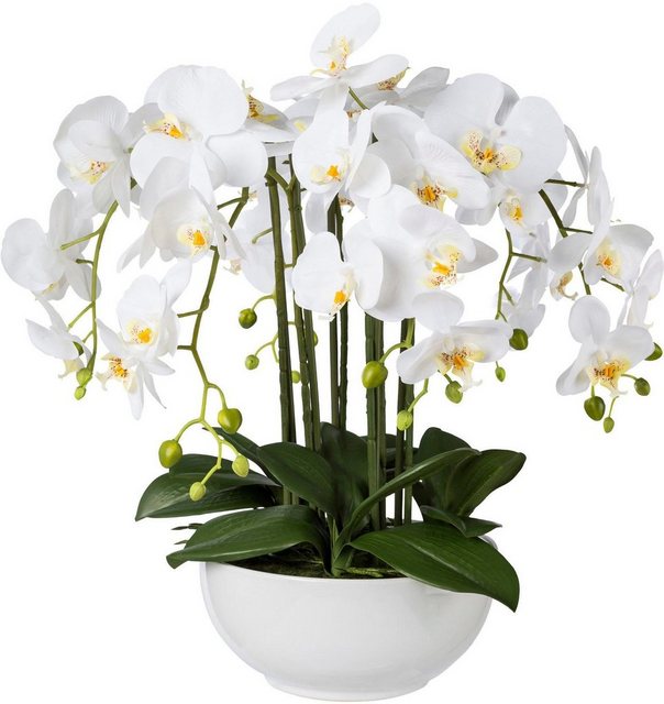 Kunstpflanze Orchidee, Creativ green, Höhe 54 cm-Otto