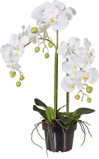Kunstpflanze Orchidee, Creativ green, Höhe 62 cm-Otto