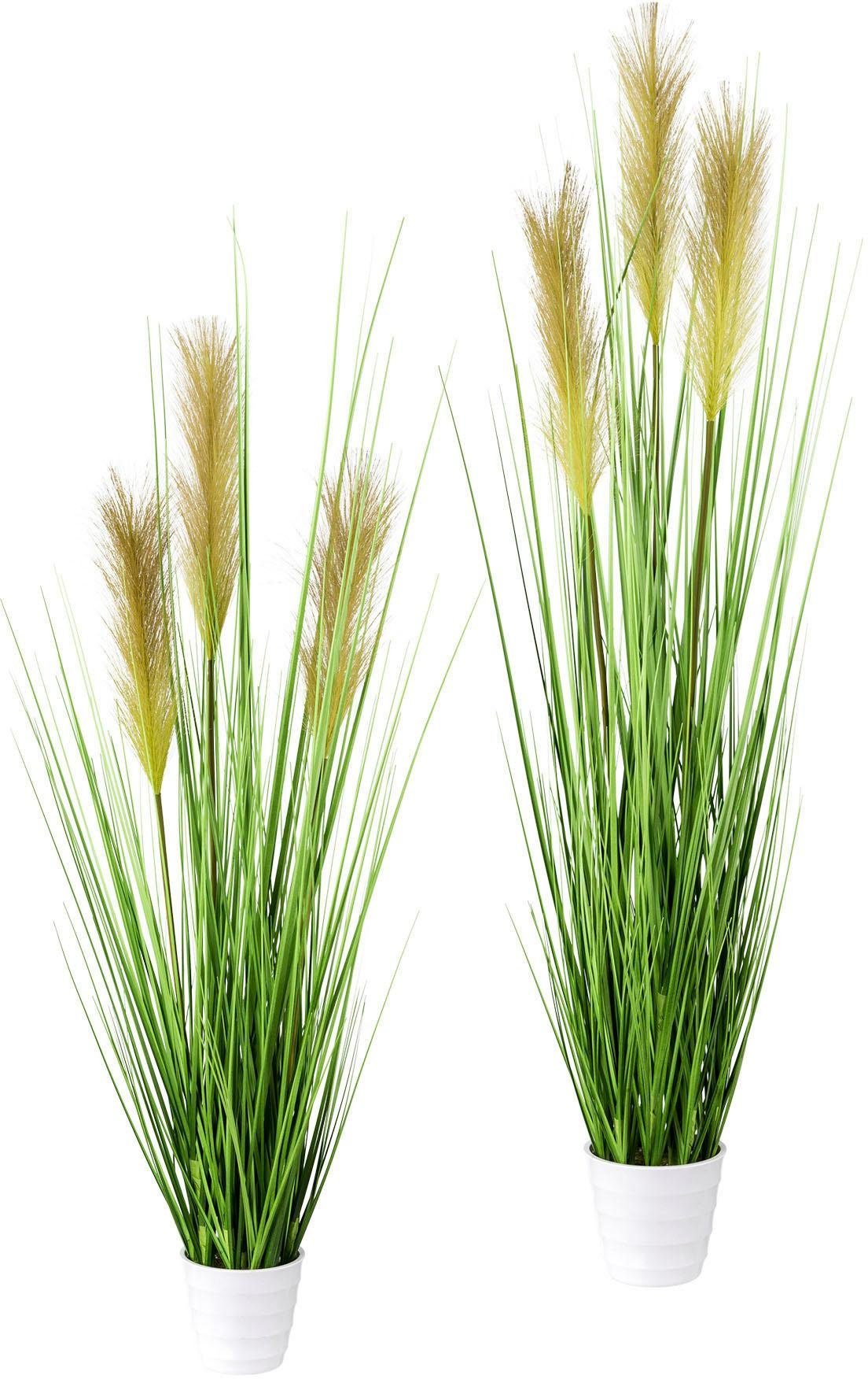 Kunstgras Grasbusch im weissen Topf, Höhen 80 cm und 95 cm ...