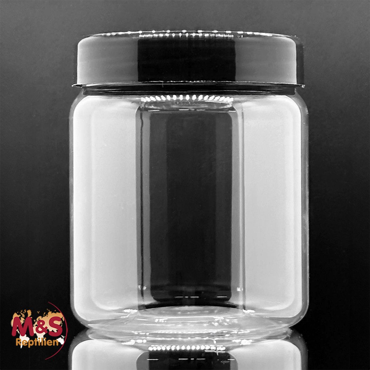 M&S Reptilien Vorratsdose Klarsichtleerdose rund mit Schraubdeckel, 500 ml