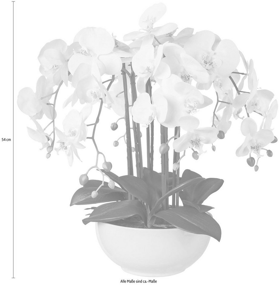 Kunstpflanze Orchidee, Creativ green, Höhe 54 cm-HomeTrends