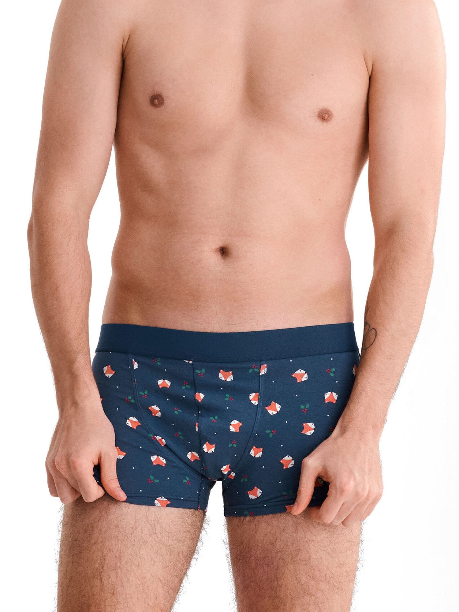 Retro Pants Herren Boxer Fox