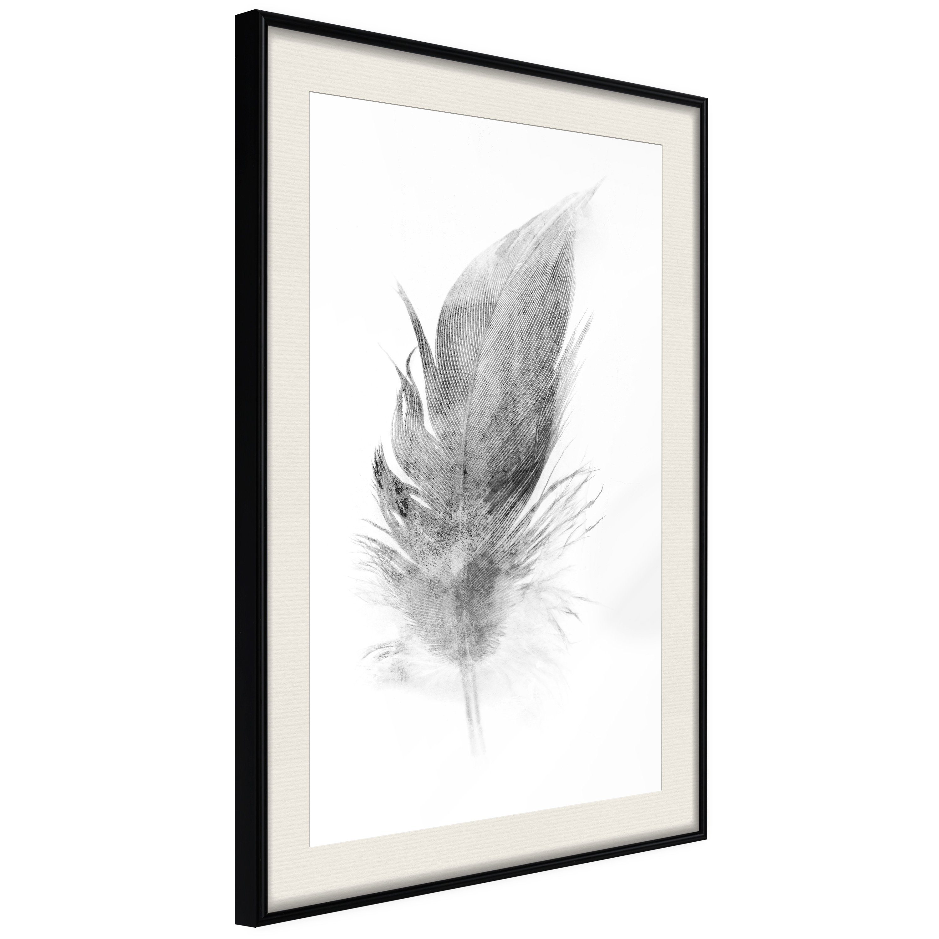 Poster Transience
