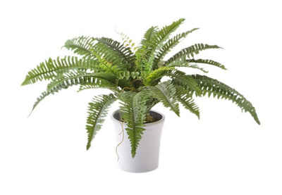 Kunstpflanze, Creativ green, Höhe 70 cm