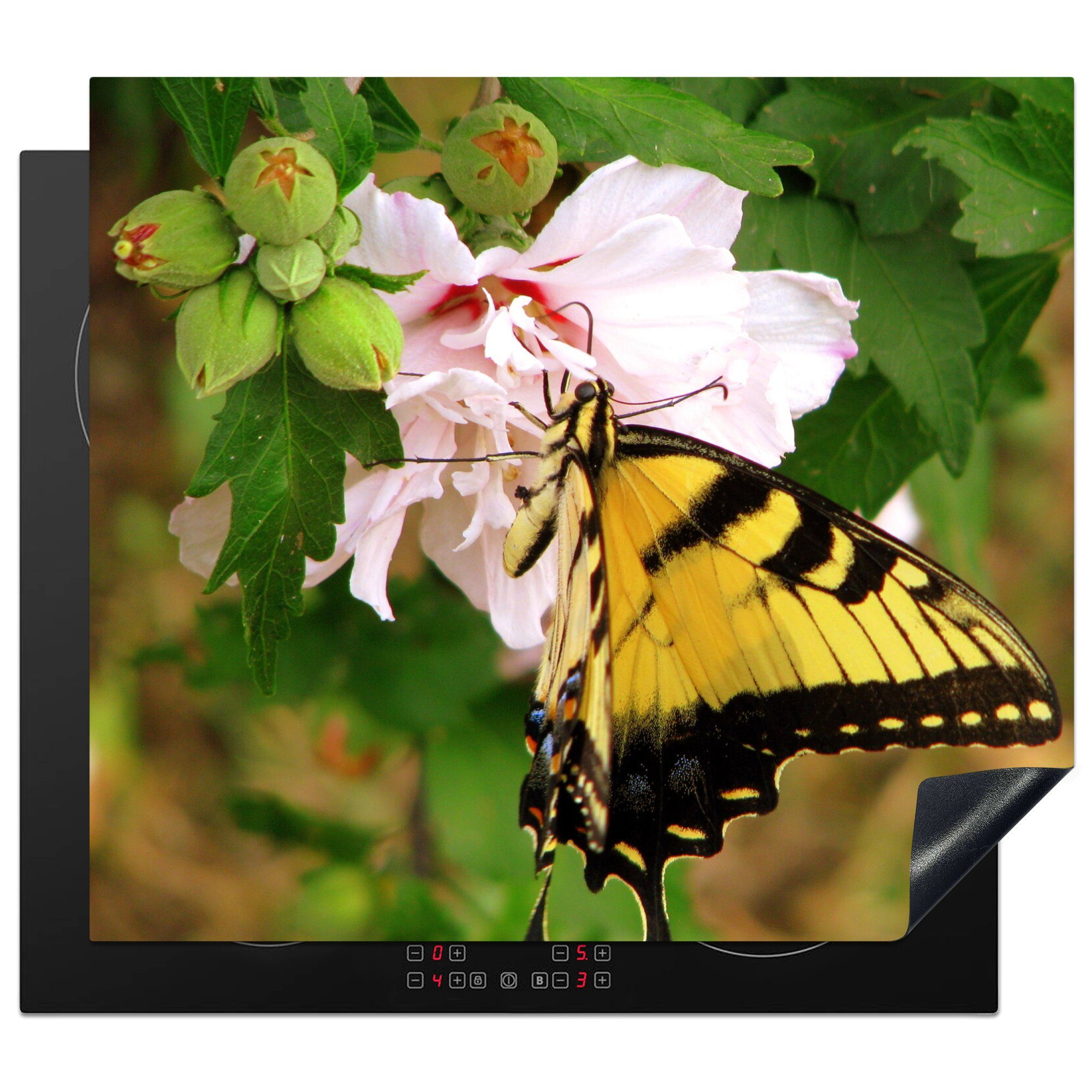 MuchoWow Herdblende-/Abdeckplatte Papilio glaucus Schmetterling in der Nähe einer rosa Blüte, Vinyl, (1 tlg), 60x52 cm, Mobile Arbeitsfläche nutzbar, Ceranfeldabdeckung | Herdabdeckplatten