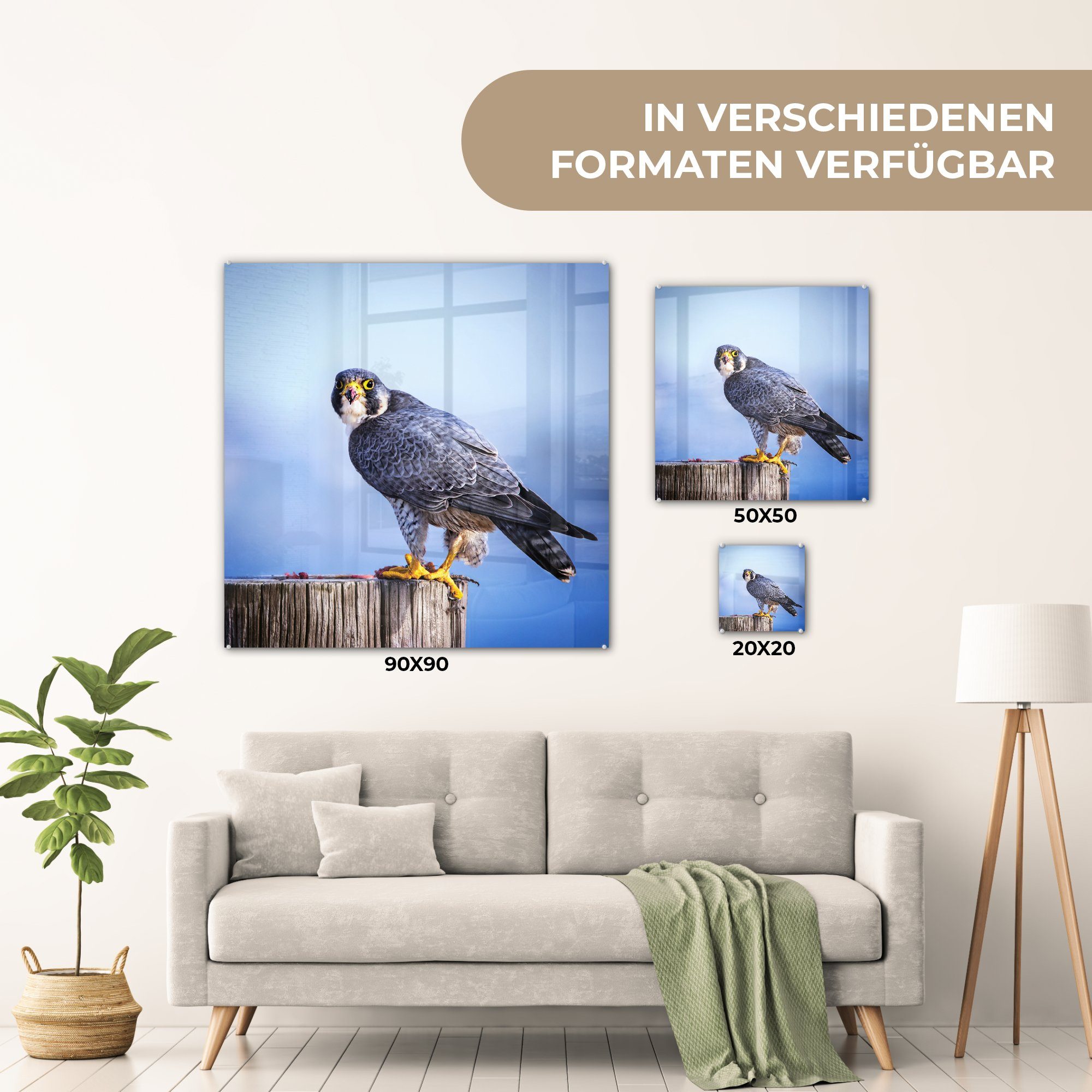 St), Acrylglasbild auf auf dicken Nahaufnahme Holzstange, Glas eines Bilder - - (1 Wandbild - Wanddekoration auf Foto Glasbilder Raubvogels einer Glas MuchoWow