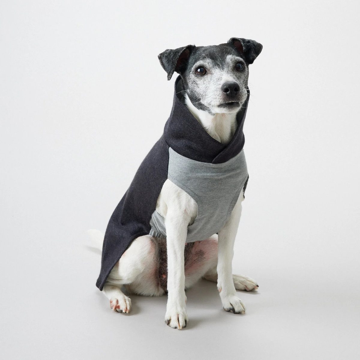 PAIKKA Hundepullover Hunde Pullover wärmend "Recovery Winter Shirt grau