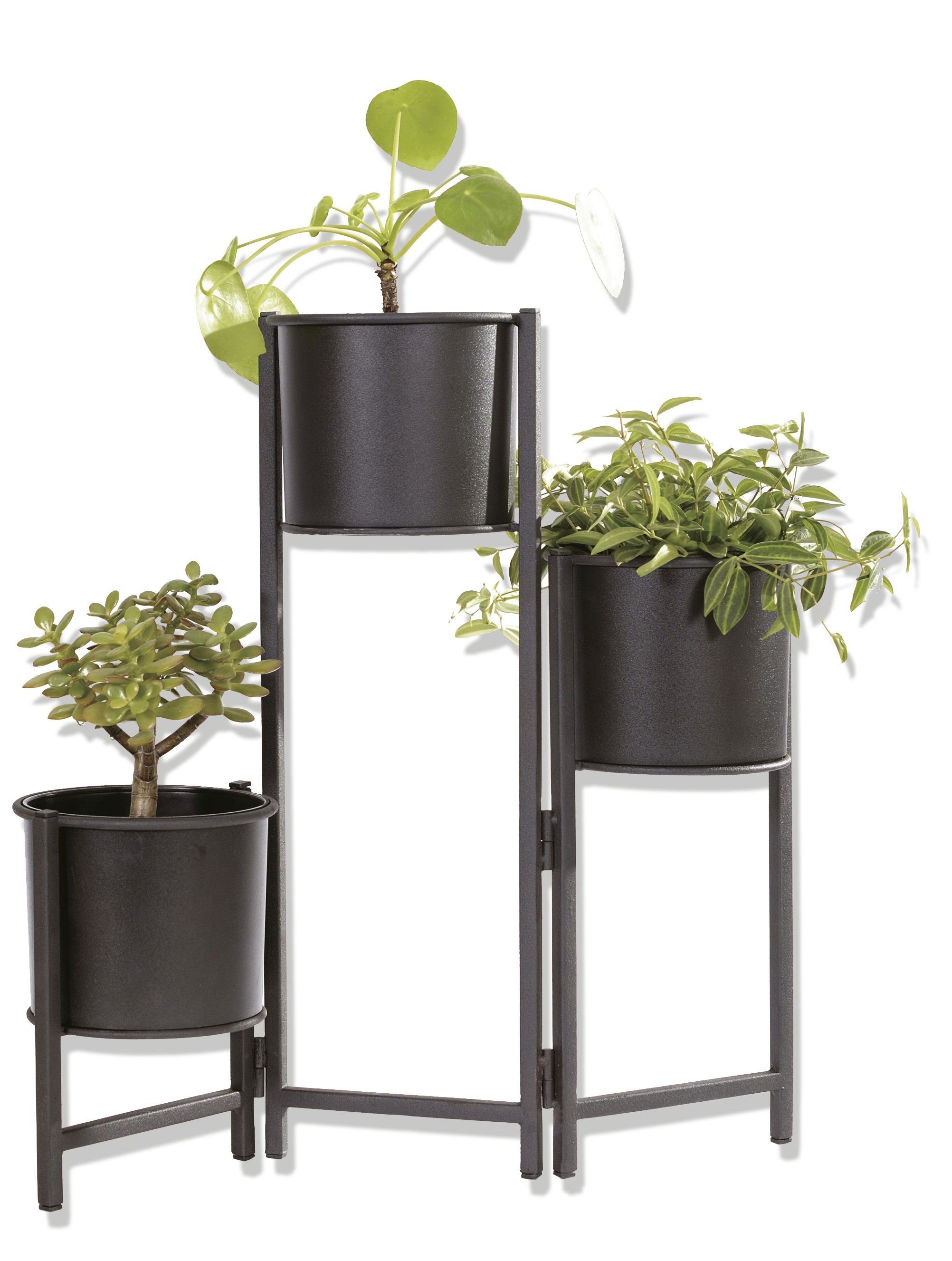 sesua Blumenständer »Metall Blumenständer faltbar mit 3 Pflanztöpfen