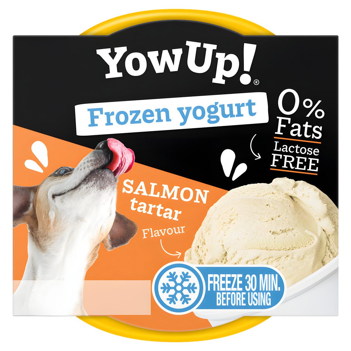 Holland Animal Care Hundesnack Frozen Yoghurt Lachs Tartar 110 g, Snack für: Hund von Holland Animal Care