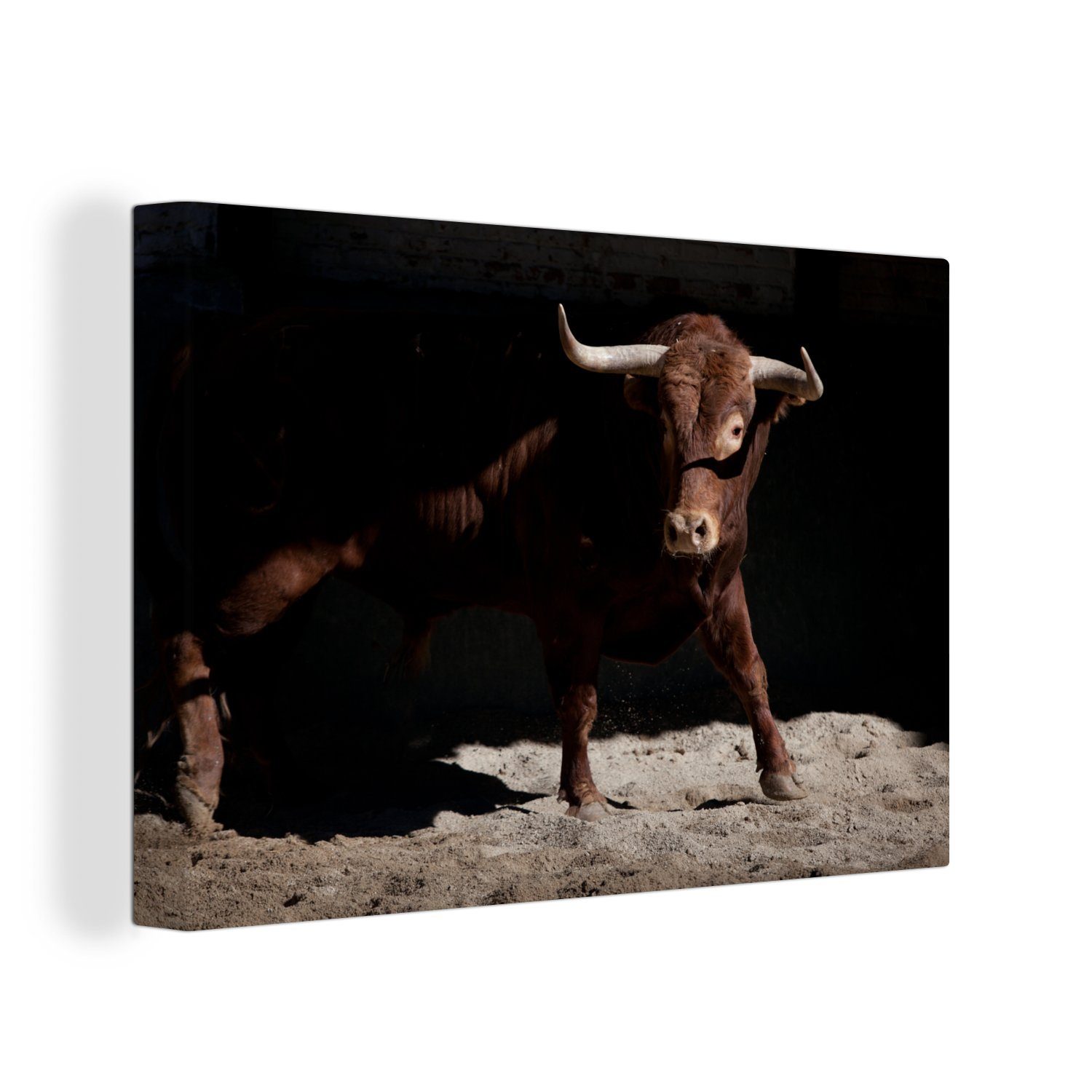 OneMillionCanvasses® Leinwandbild Ein brauner Stier vor schwarzem Hintergrund, (1 St), Wandbild Leinwandbilder, Aufhängefertig, Wanddeko, 30x20 cm